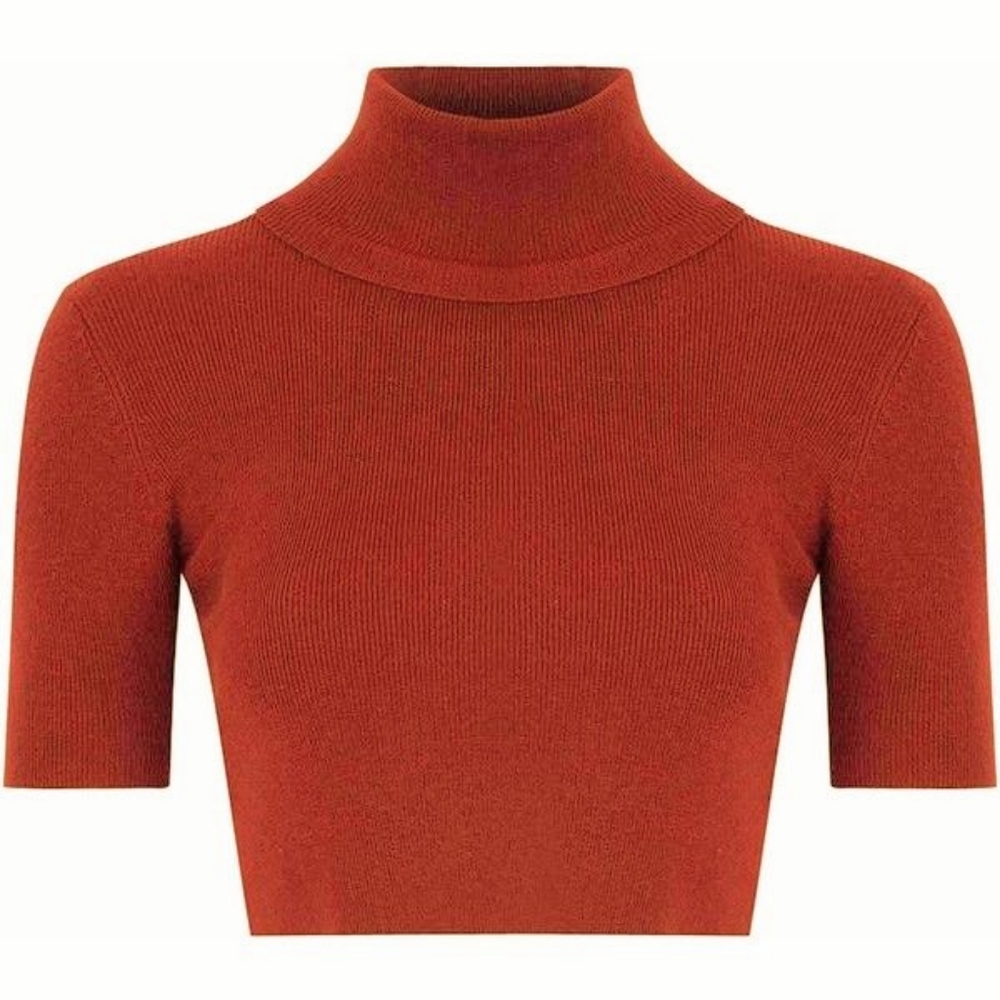 Glamorous Red Orange Knit Short Sleeve Turtleneck Crop Top, Women's S